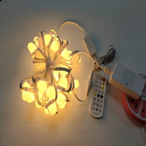 Wasserdichte LED Smart Pixel Point Controller für den Außenbereich Programmier bare RGBW-adressierbare Lichterkette IP65 zu Weihnachten - Product Image 2