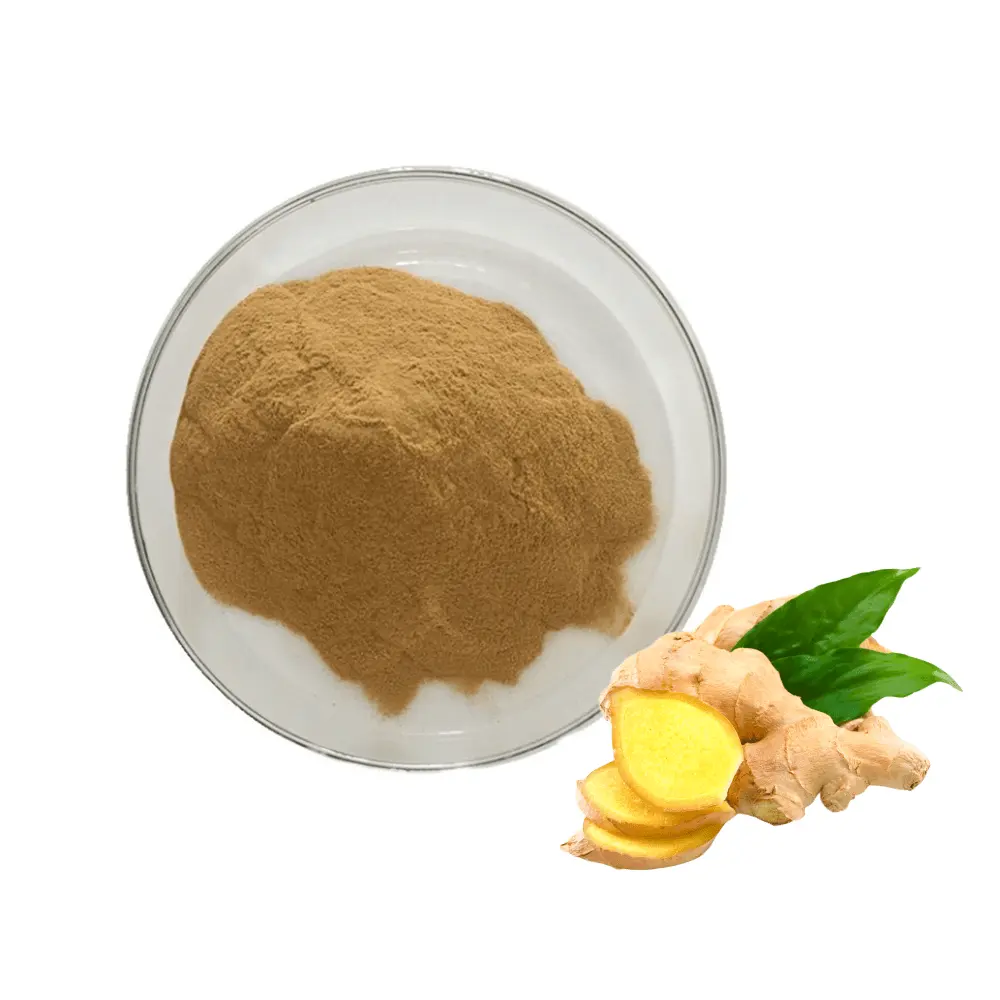 High Quality Ginger Extract powder 5% Gingerols Powder Ginger Root Extract Powder