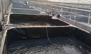 Endüstriyel tasarım tarzı yüksek kalite 1.2mm 1.5mm kalın renkli HDPE PVC LDPE LLDPE PE geomembran gölet Liner için barajlar balık göletler - Product Image 5