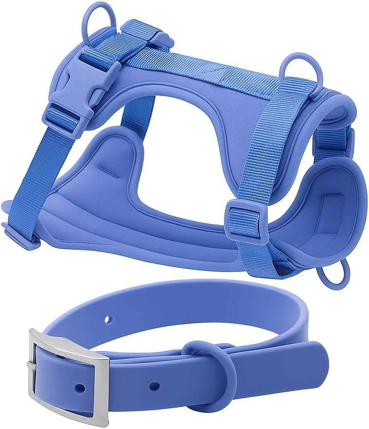 สีฟ้าอ่อน