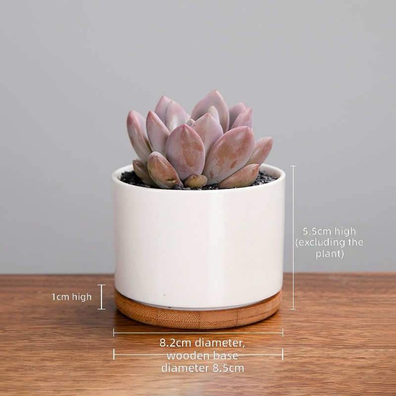 Blanco (¡Oferta especial!) Porcelana blanca grande