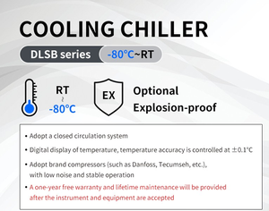 Woming fabrika fiyat 50L Lab düşük sıcaklık Recirculating <span class=keywords><strong>Chiller</strong></span> DLSB-50/40