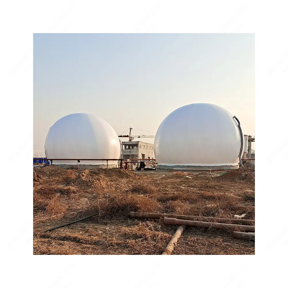 Tangki Penyimpanan Biogas Membran Ganda CE, Tanaman Laboratorium Jetrova Biogas Rumah, Tanaman Biogas Afrika Selatan