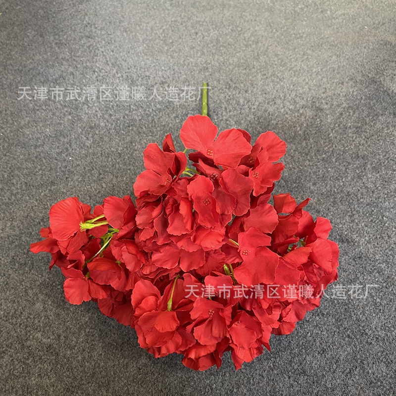 hortensia à 5 têtes