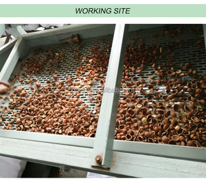 Sgusciatrice per gusci di mandorle e noci di alta qualità e separatore di noccioli - Product Image 2