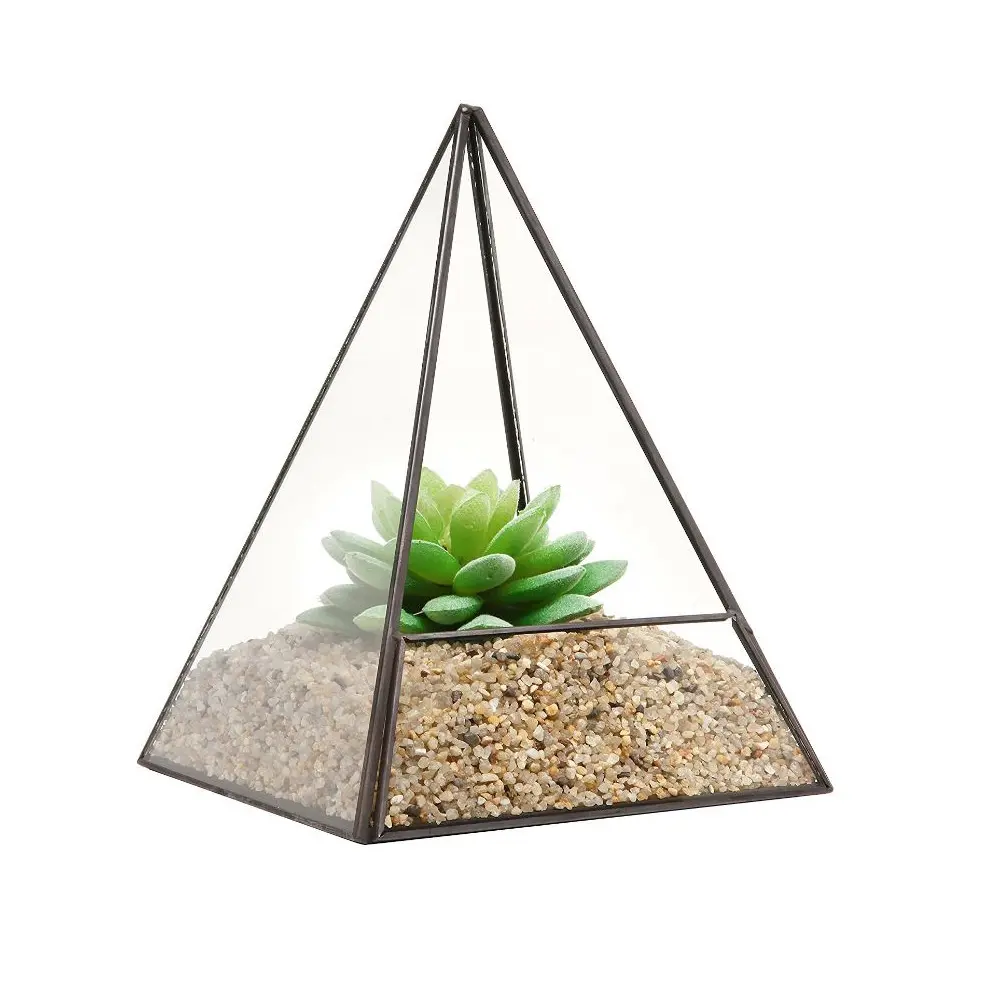 Terrarium des plantes en verre, décoration de jardin moderne et fantaisie, forme de cône, personnalisé, plantes pour décor