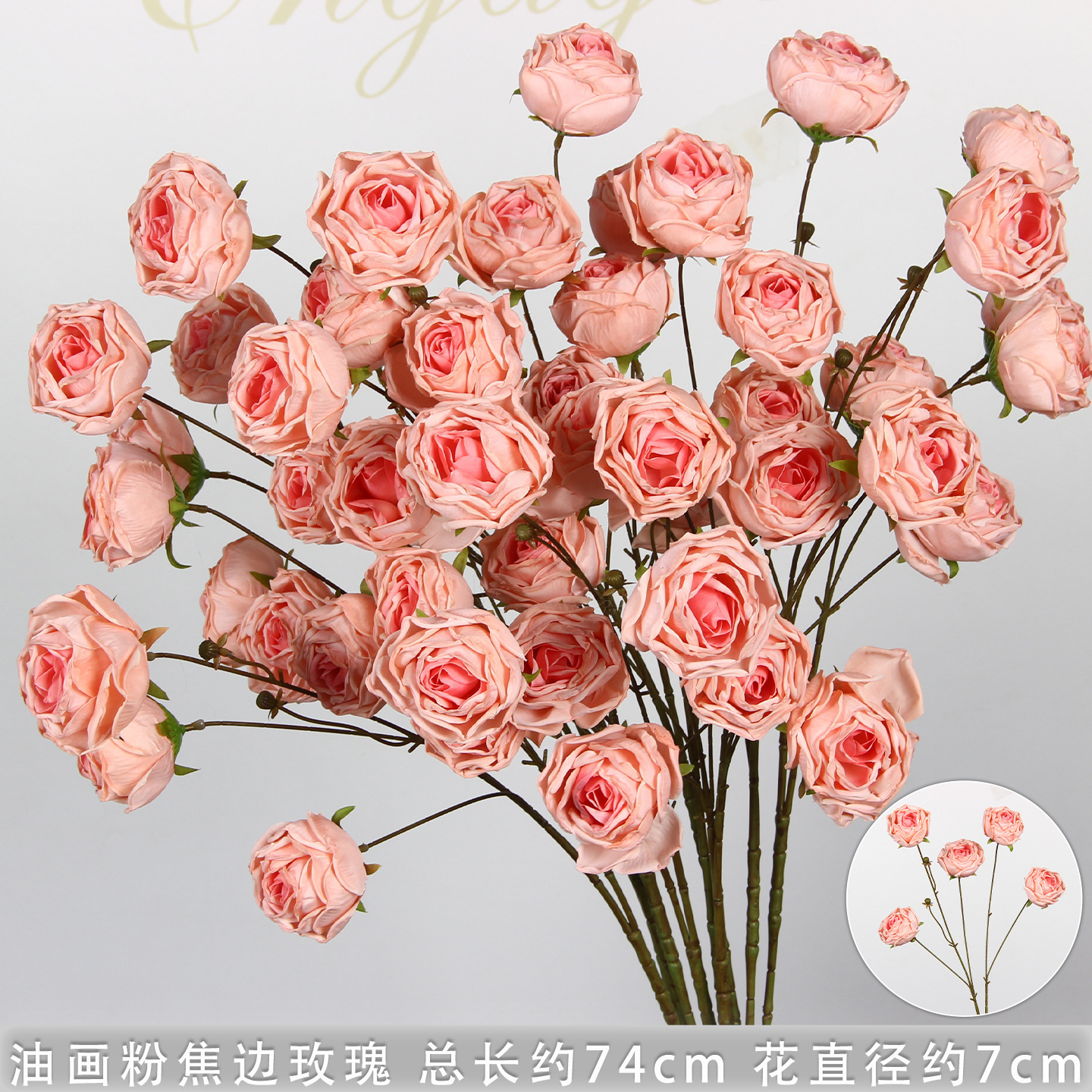 Peinture à l'huile rose, ensemble de 5 pièces, branche de rose à bords brûlés.