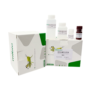 Sitrat sentaz (CS) aktivite test kiti - Product Image 4
