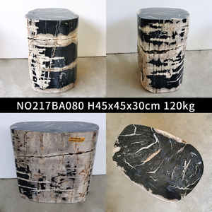 Taşlaşmış ahşap taş fosil ahşap yan masa fosil tabure - Product Image 5
