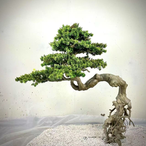 Artificial <strong>Trees</strong>, Chinese Style Artificial Bonsai Welcoming Pine Decoration Fortune <strong>Tree</strong> Landscape Decoration - Product Image 1