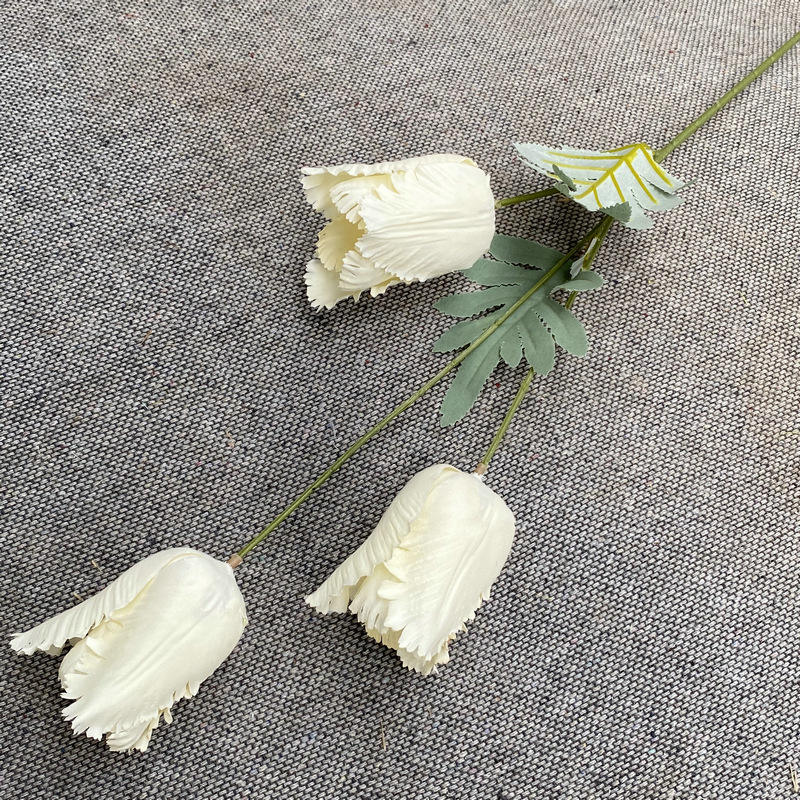 สีขาวน้ำนม