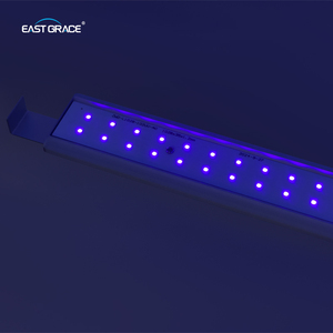 0-10V ลดแสงแถบไฟ LED ขยายเต็มสเปกตรัม UV IR สำหรับการทำฟาร์มแนวตั้งและเรือนกระจกใช้โซลูชันคนขับหลายคน - Product Image 4