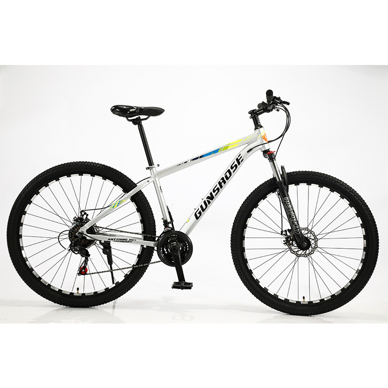 Cadre en alliage d'aluminium peint en argent - Roues CNC