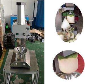 Kokosnuss verarbeitung maschine/Kokosnuss schälmaschine/Kokosnuss schneide maschine mit dem niedrigsten Preis - Product Image 5