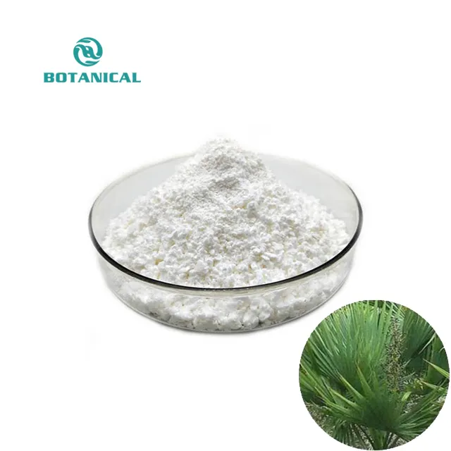 Iso Factory Supply Pure Saw Palmetto Fruit Extract Powder 45% Palm Fatty Acid Saw Palmetto Extract 20:1