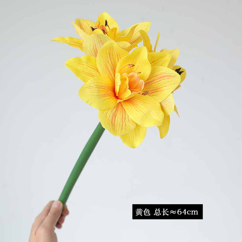 Jaune