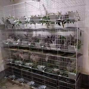 Оцинкованные клетки для кроликов, автоматический лоток для навоза, прочные пластиковые клетки для разведения на ферме, дешевые коммерческие клетки для кроликов - Product Image 5