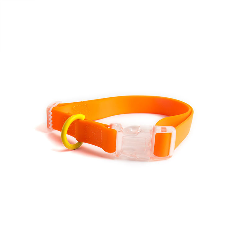 Orange collar