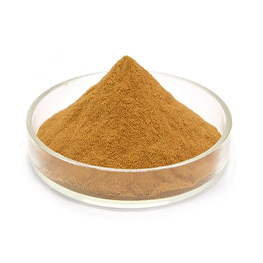 Natural Supplement Reishi Mushroom Ganoderma Extract Powder triterpenes