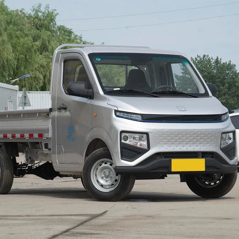 China Cars Prices Mini Truck 4x2 Chang Li Electric Pickup Eec New Energy Mini Truck