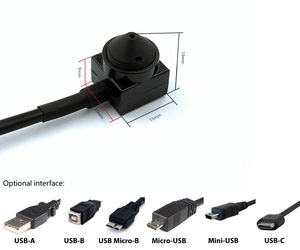 OEM düşük ışık 0.1Lux Full HD 1920*1080P Mini kare 15*15mm renk USB ağ Video kamera süper koni ile iğne deliği Lens ev için - Product Image 6