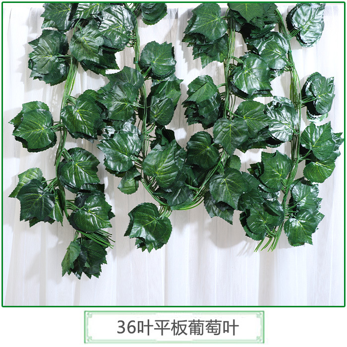 Feuille de vigne plate à 36 lobes