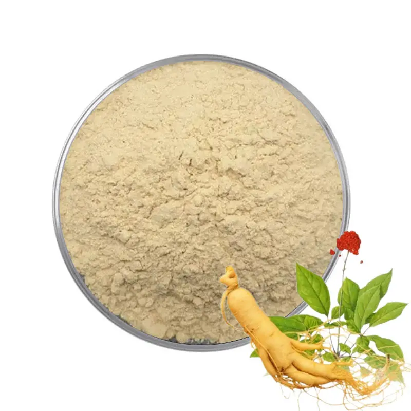 Nhà cung cấp Trung Quốc Hàn Quốc nhân sâm đỏ chiết xuất 80% ginsenoside Panax Ginseng chiết xuất từ rễ