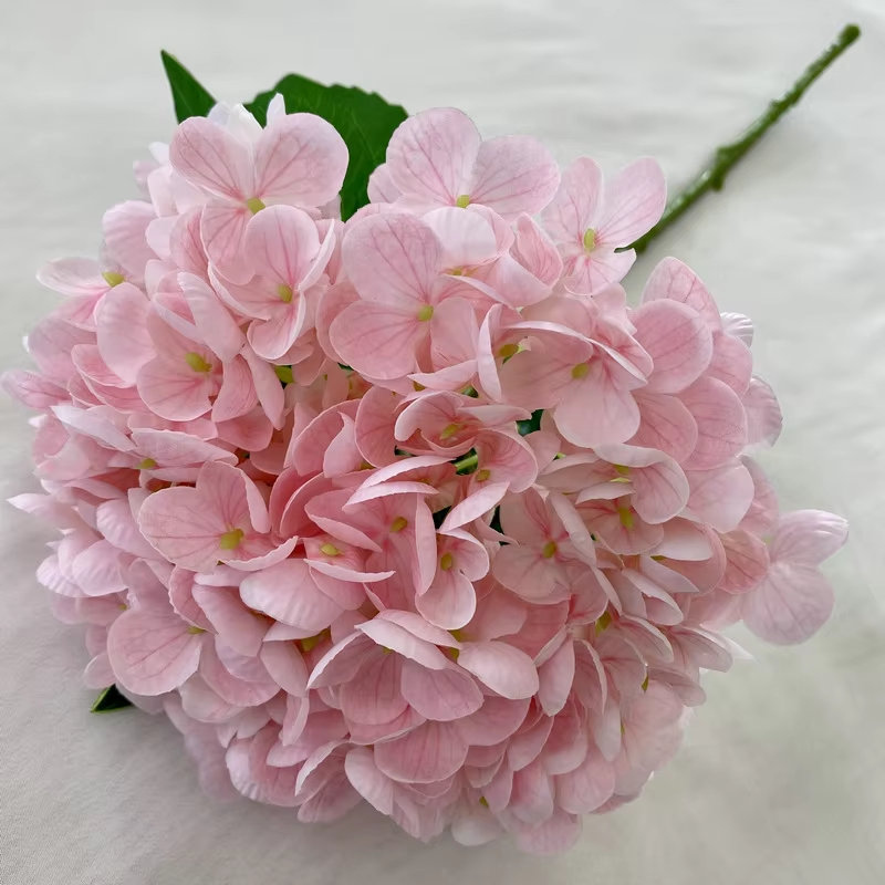 Style1 Pink