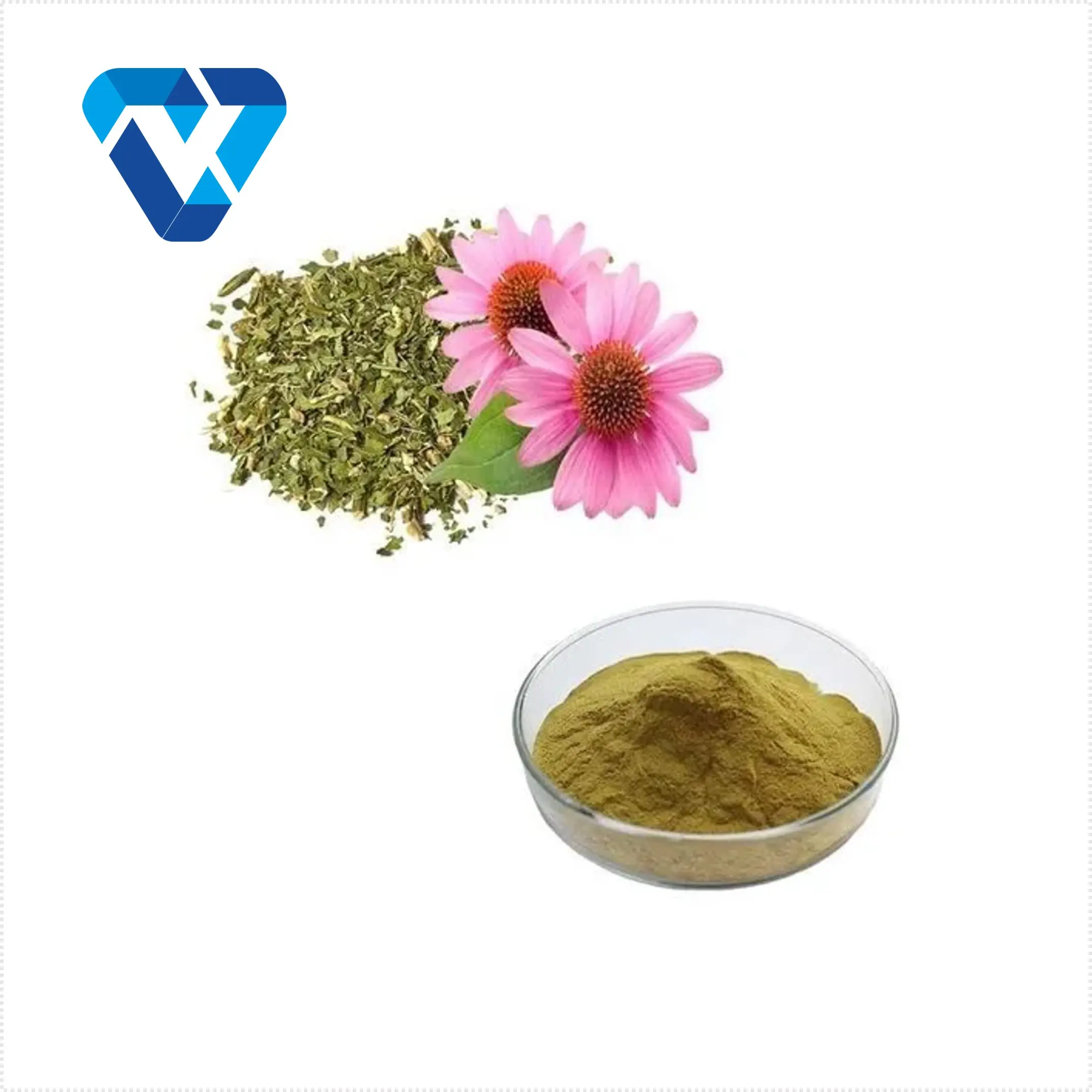 Top Grade Wholesale Pure Powder Organic Echinacea Polyphenols 4% Echinacea Extract