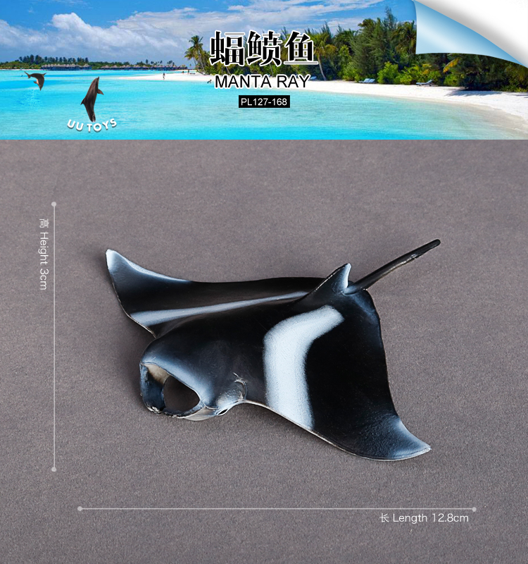 168 Manta Ray