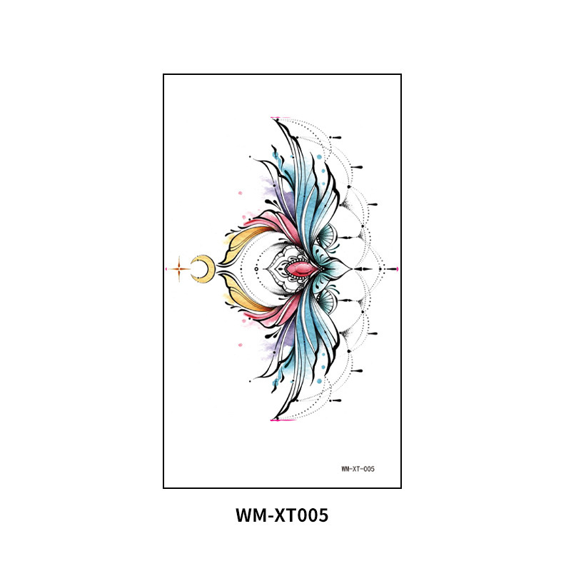 WM-XT-005
