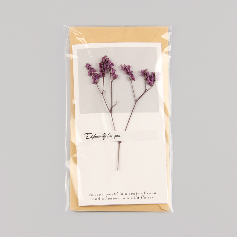 Pourpre