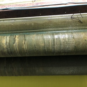 HDPE with UV Anti Insect <strong>Net</strong> Anti Bird <strong>Net</strong> Plain Weave <strong>Round</strong> Wire <strong>Net</strong> for Orchard - Product Image 4