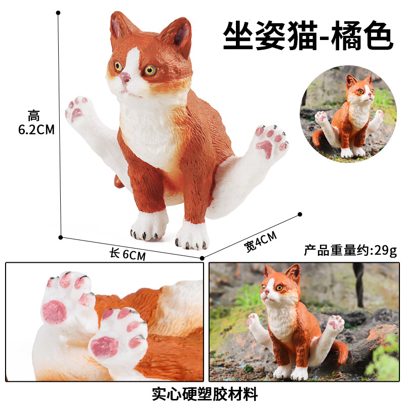 1695 Chat orange (pose assise)
