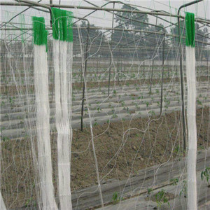 植物サポートネットクライミングトレリスネットキュウリネット植物サポート用 - Product Image 3