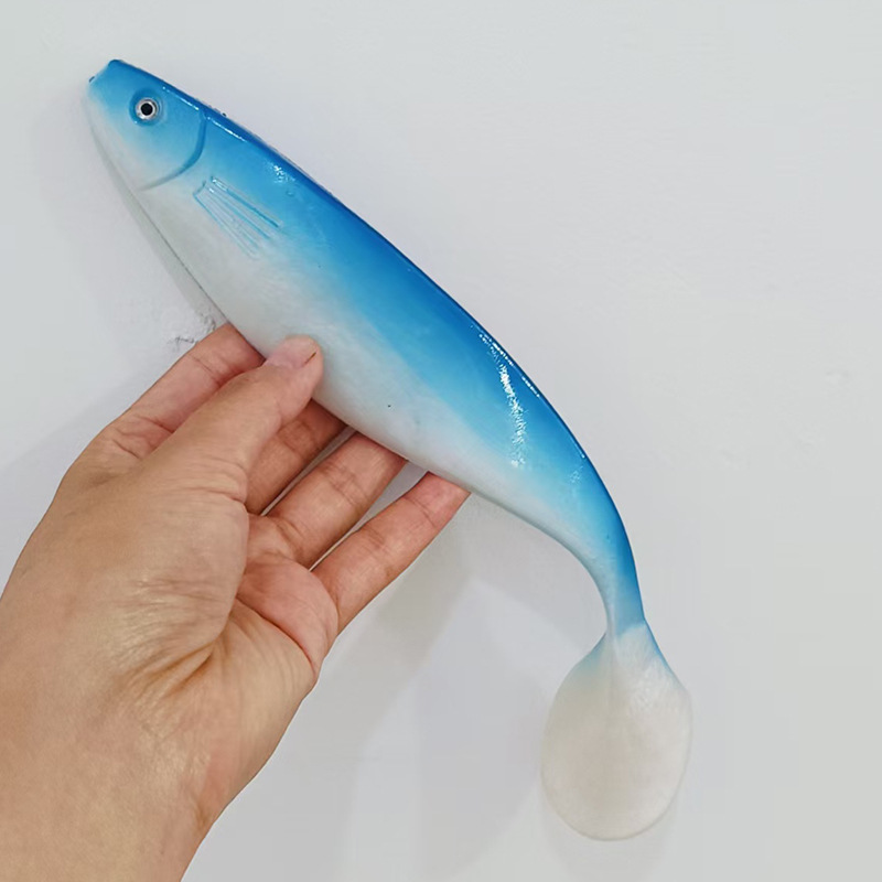 Blue back-white belly