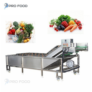 <strong>High</strong> <strong>Output</strong> Multifunctional Bubble Fruit Washing <strong>Machine</strong> Supplier with Core Engine Component - Product Image 1