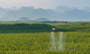 DJ T25/T30/T40 trang bị máy ảnh nông nghiệp <span class=keywords><strong>Drone</strong></span> phun phiên bản toàn cầu T25/T30 bay không người lái ban đầu DJ bán buôn - Product Image 5