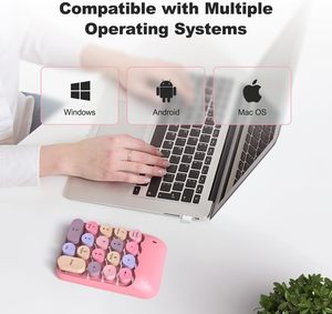Calcolatrice Numpad tastiera meccanica colorata tastiera numerica 2.4 Ghz tastierino numerico - Product Image 2