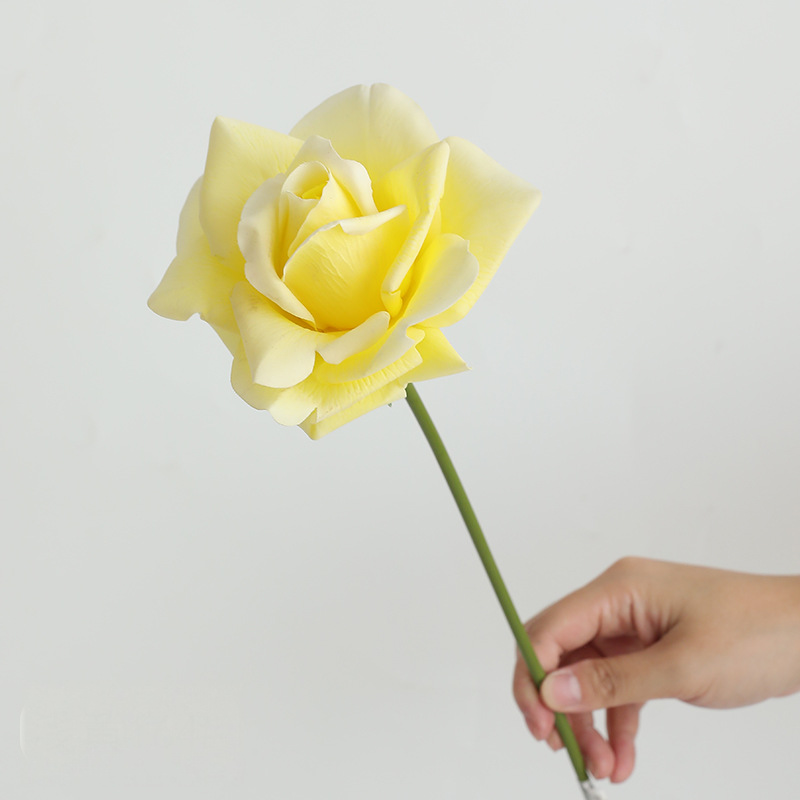 สีเหลืองอ่อน