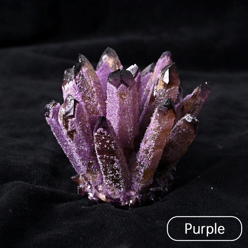 Pourpre