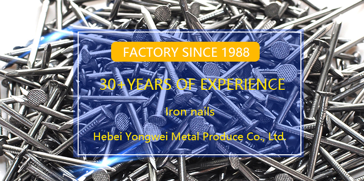 hot dipped galvanized flat head common nails iron large electro galvanized iron spike wire Steel nails