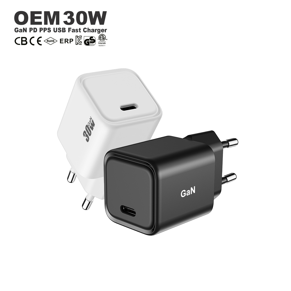 30W GaN