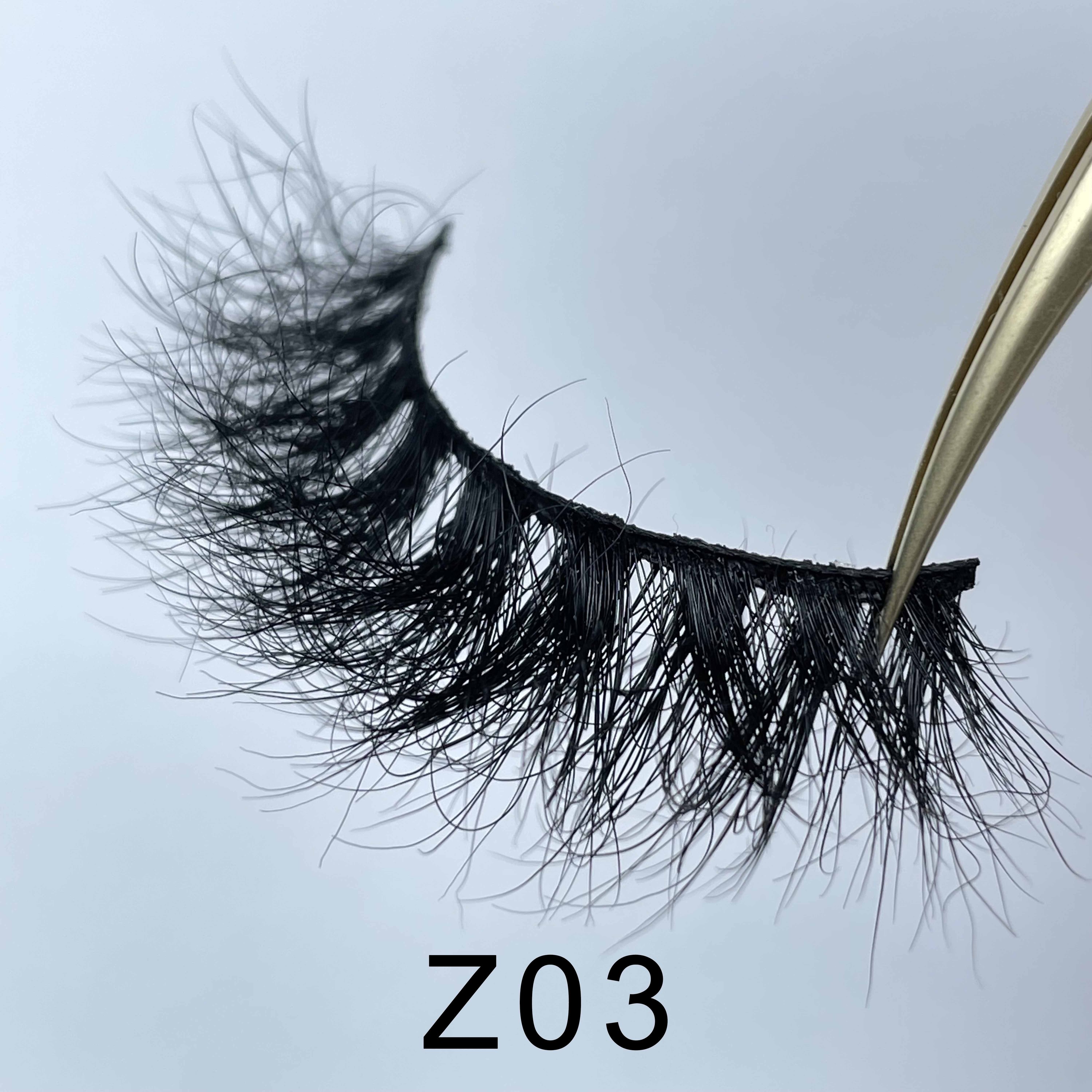Z03