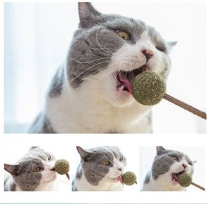 Forma bonita, juguetes de hierba gatera para gatos, menta para gatos, seguridad Natural, comestible, forma bonita, piruleta de menta para mascotas, Bola de hierba gatera, juguete para gatos, dientes limpios - Product Image 3