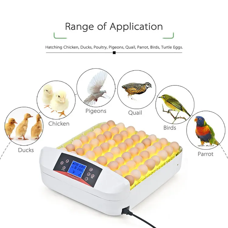 Incubadora e incubadora de huevos de codorniz solar de huevos de marca HHD, precio de Dubái, 52, 130