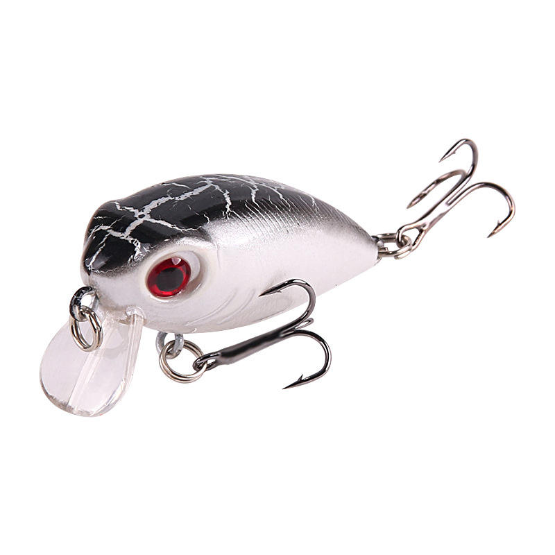 ดำหลังขาว