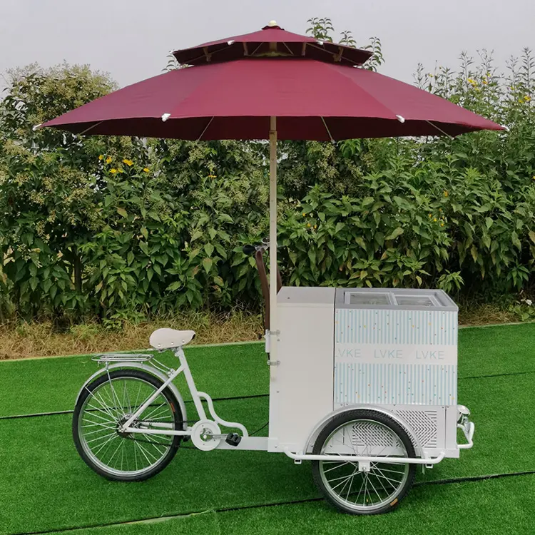 220v AC 냉장고 전기 아이스크림 모터 세발자전거 3 짐수레꾼 상업적인 자전거 음식 손수레를 가진 뜨거운 인기 상품 냉장된 자전거
