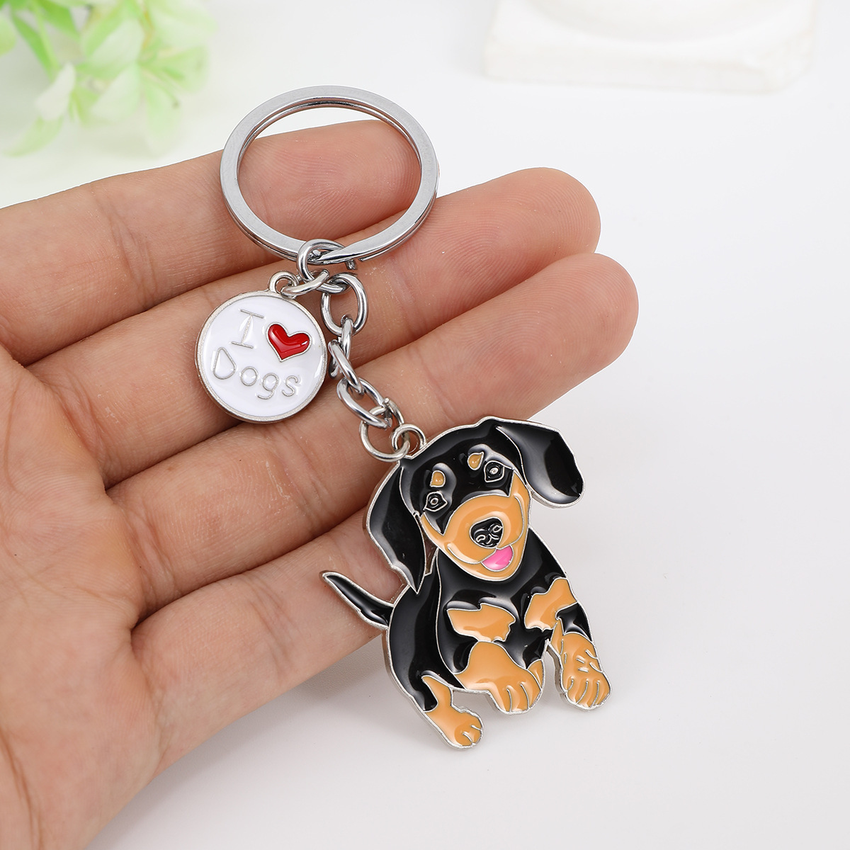 Silver chain running dachshund idog