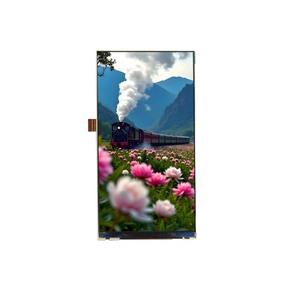TFT <strong>Lcd</strong> <strong>Display</strong> Modules 5&quot; IPS <strong>Lcd</strong> Screen 480*960 Vertical <strong>Lcd</strong> Panel with 25 Pins MIPI Interface for Machine Controller - Product Image 5